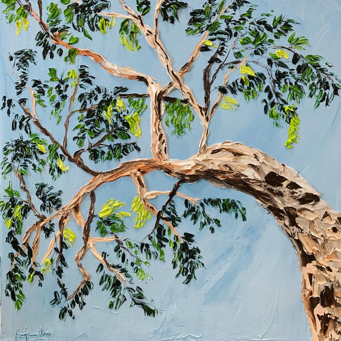 Under the gum tree