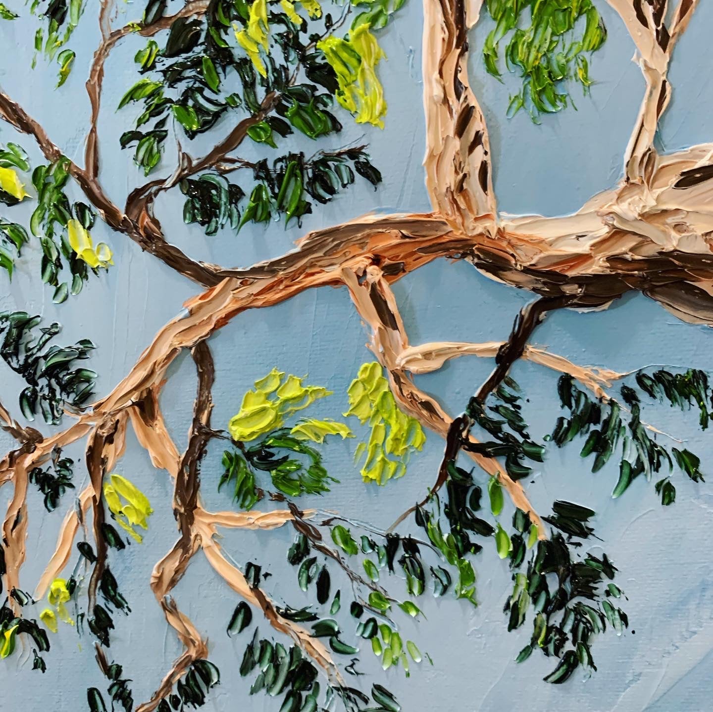 Under the gum tree