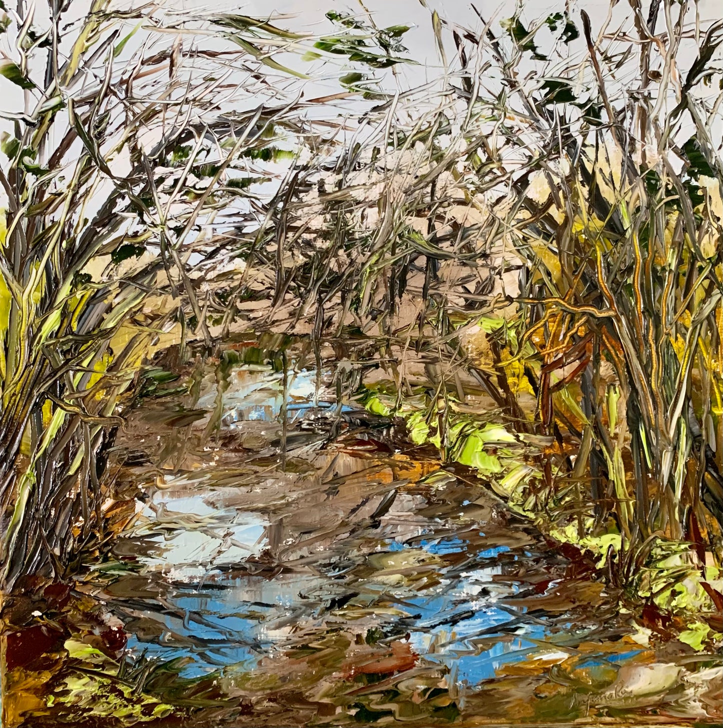 The Creek
