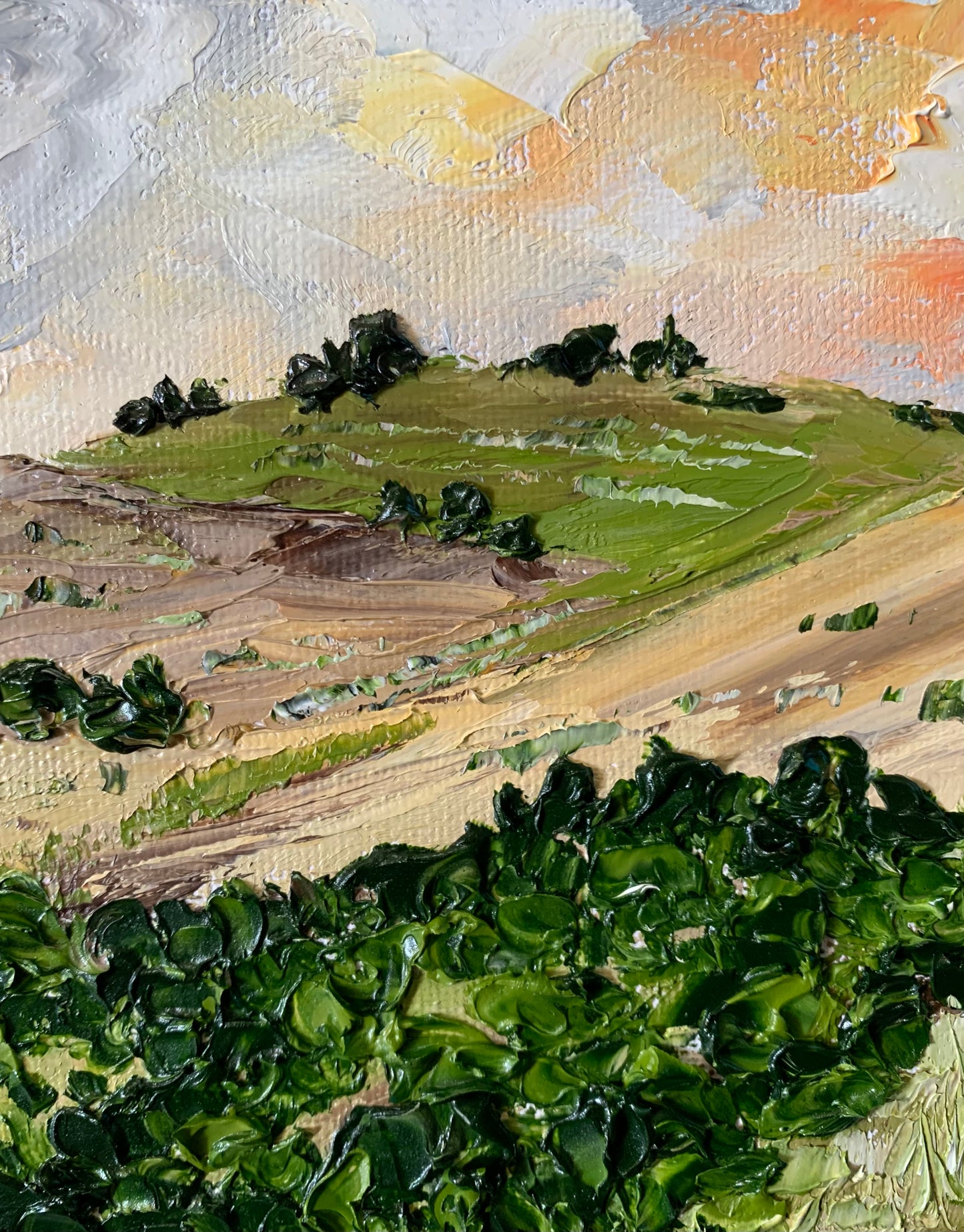 Sunset at the countryside