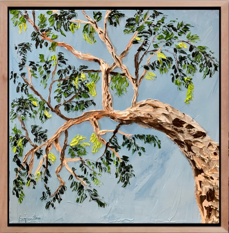 Under the gum tree