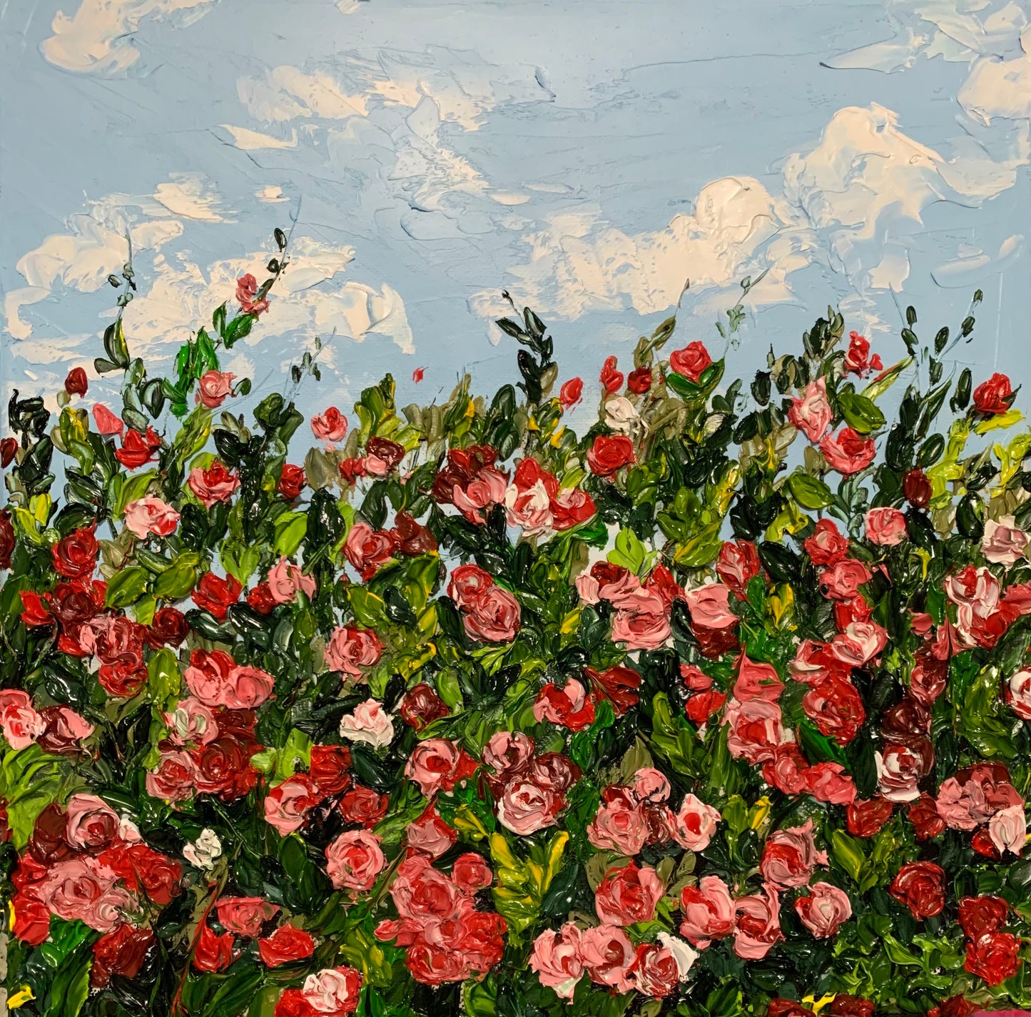 In the rose garden